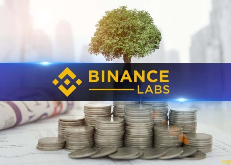 Binance Labs Thrives Amidst Market Challenges with 25 New Investments in 2023