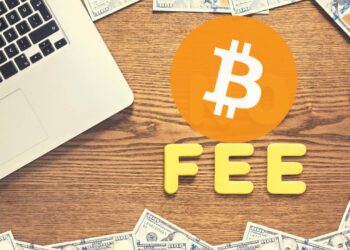 Somebody Just Lost $170,000 In BTC Transaction Fee