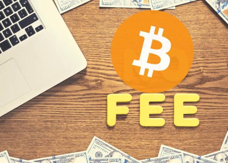 Somebody Just Lost $170,000 In BTC Transaction Fee