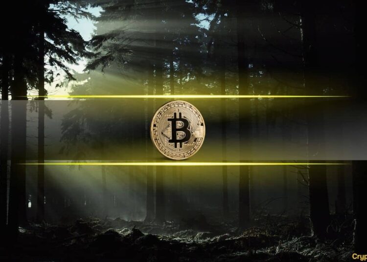 Satoshi Nakamoto’s Wallet Resurfaces in a $1.17 Million Move