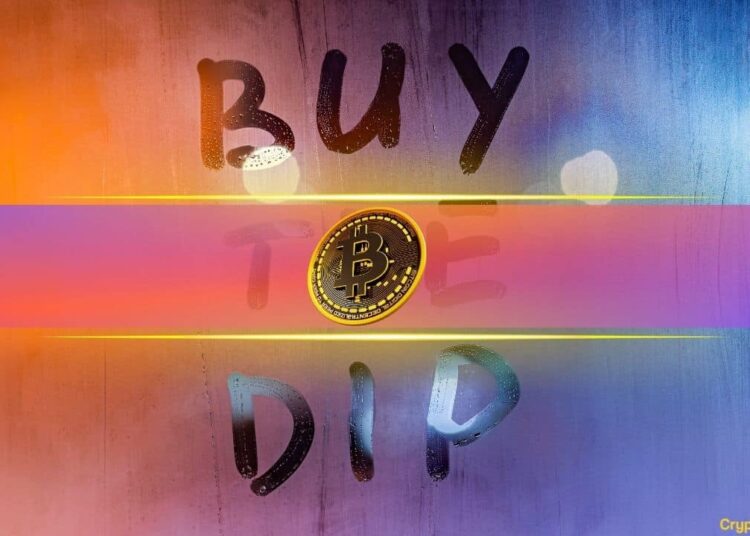 Bitcoin’s Dip Below $43k Sparked Aggressive Buying from Large Holders: Report