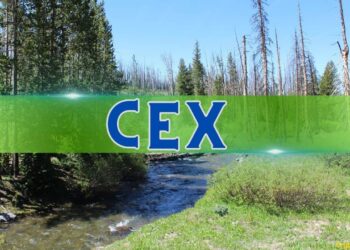 Post-FTX Collapse, December Ushered in Optimism for Centralized Crypto Exchanges: CCData