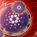 Analyst Ali Martinez Anticipates Cardano Resurgence to $0.80 in April