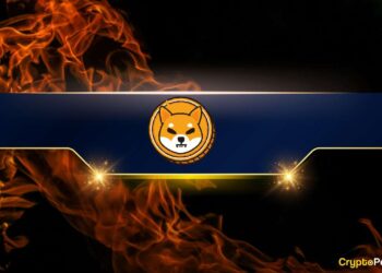 Major Increase in Shiba Inu (SHIB) Burn Rate Today