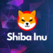 Presale gem Pushd (PUSHD) is tipped by Chat GPT to become a top crypto over Dogecoin (DOGE) and Shiba Inu (SHIB)