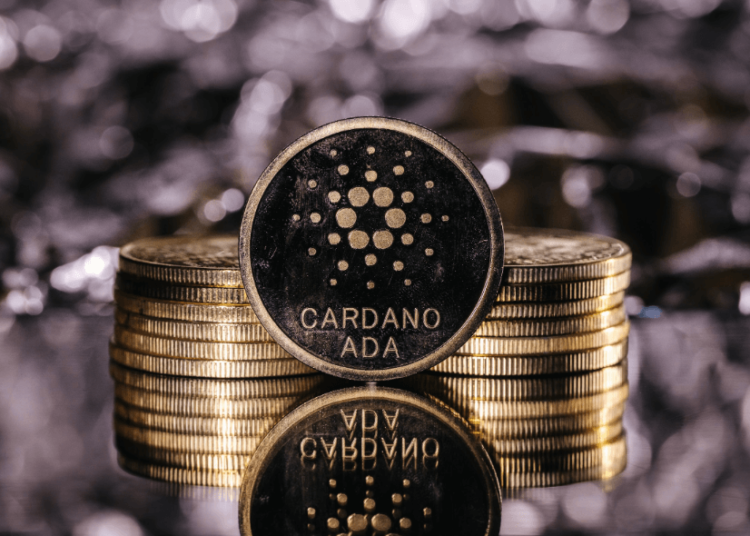 Varying Price Trends for Cardano (ADA) and Mantle (MNT) as Everlodge (ELDG) Presale Surges