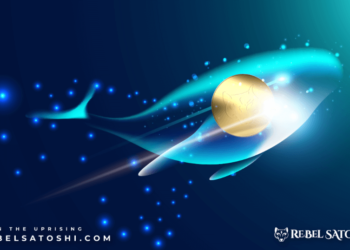 January Gems: Top Coins to Kickstart Your 2024 Investment Journey