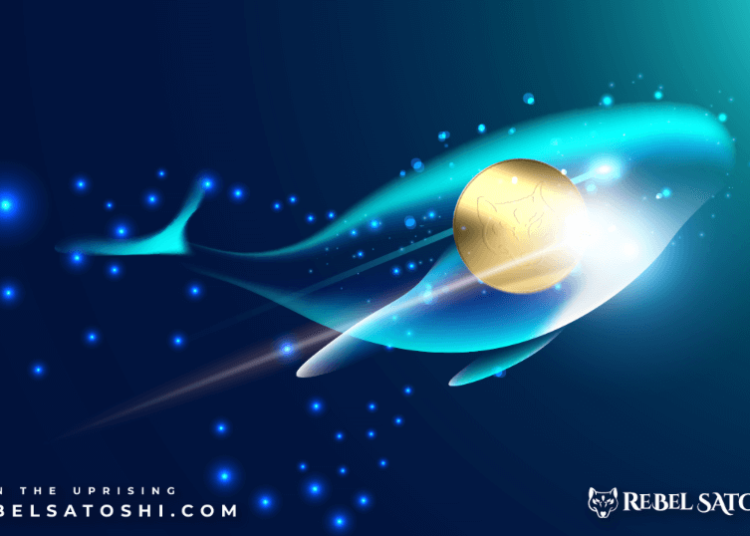 January Gems: Top Coins to Kickstart Your 2024 Investment Journey