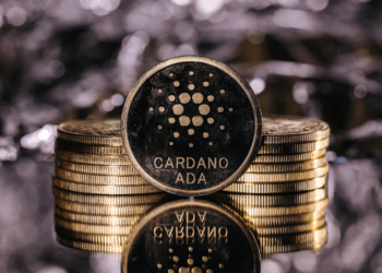 Three Bullish Tokens Investors Should Consider in Q1 of 2024: Everlodge (ELDG), Cardano (ADA) and Ethereum Classic (ETC)