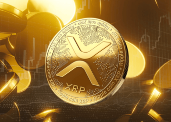 Investors from Solana (SOL) and Ripple (XRP) are seeing value in buying into the new Pushd (PUSHD)
