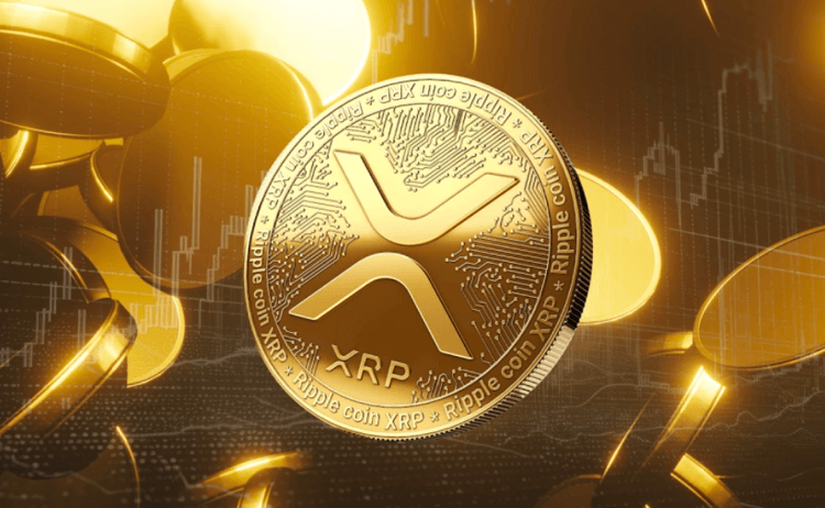 Investors from Solana (SOL) and Ripple (XRP) are seeing value in buying into the new Pushd (PUSHD)