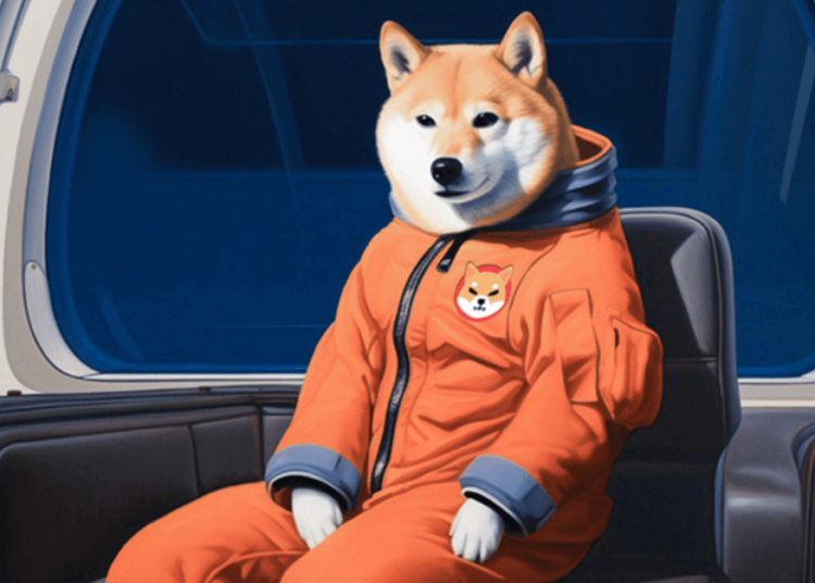 Bitcoin (BTC) ETF approved while Pushd (PUSHD) presale flies. Shiba Inu (SHIB) predicted to fall in value in 2024