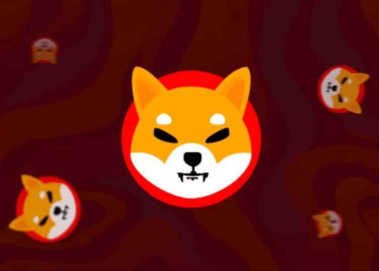 This Cryptocurrency Could Surge Like Shiba Inu (SHIB) Did