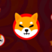 This Cryptocurrency Could Surge Like Shiba Inu (SHIB) Did