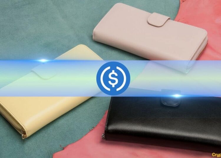 USDC Wallet Growth Soars 59% Despite Headwinds: Circle