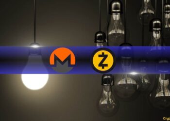 Privacy Token Liquidity Hits Record Low of $5 Million Amid Market Volatility, Report