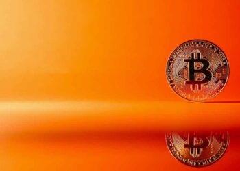 Technical Issues Hinder Bitcoin NFT ‘Quantum Cats’ Launch