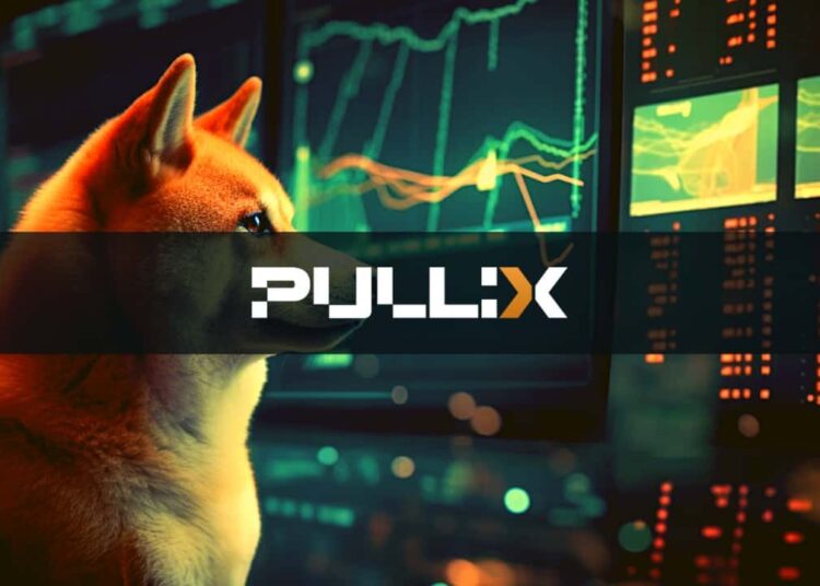 Dogecoin (DOGE) and Shiba Inu (SHIB) Lose Momentum As Pullix (PLX) Attracts Attention