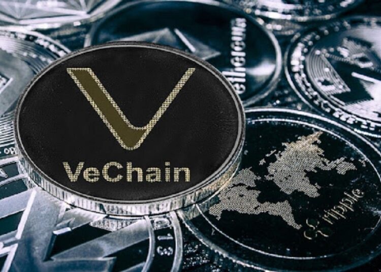 NuggetRush Offers Investors Safe Haven as VeChain and Dogecoin Prices Plummets