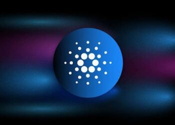 Cardano Reaches Low Point, Eyes $1 Price Target; Hedera & Borroe Finance are Growing Fast