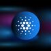 Cardano Reaches Low Point, Eyes $1 Price Target; Hedera & Borroe Finance are Growing Fast