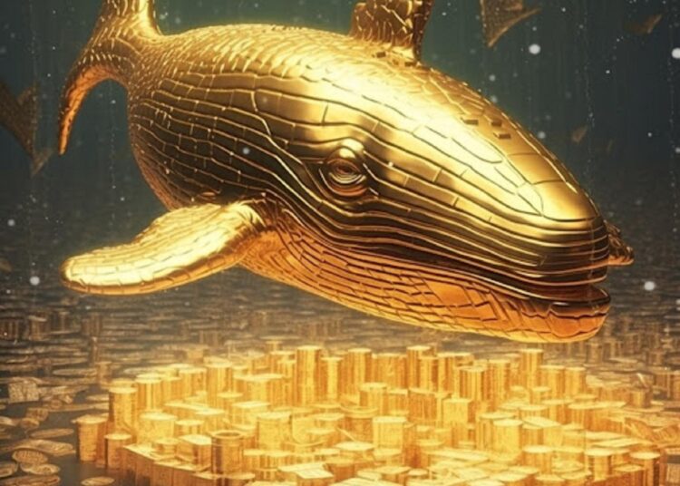 Whales Just Dumped $WIF — Are Their Sights Set On This New Memecoin?