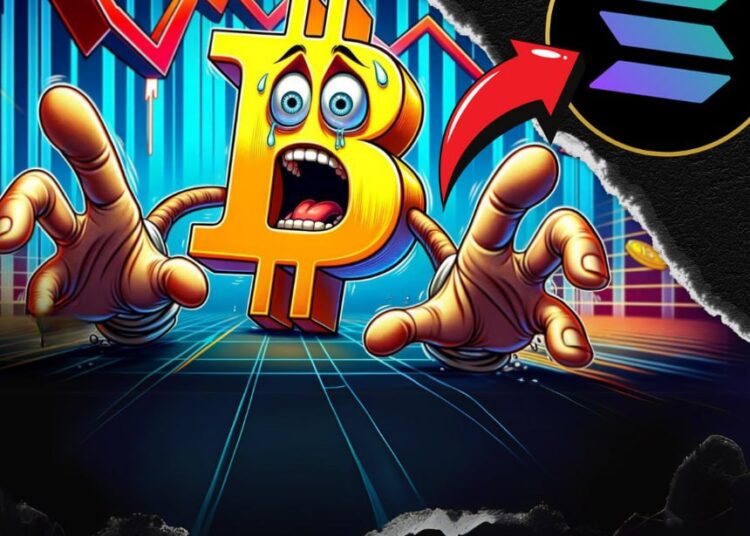 Bitcoin's Possible Market Corrections and Their Implications for Solana and ScapesMania