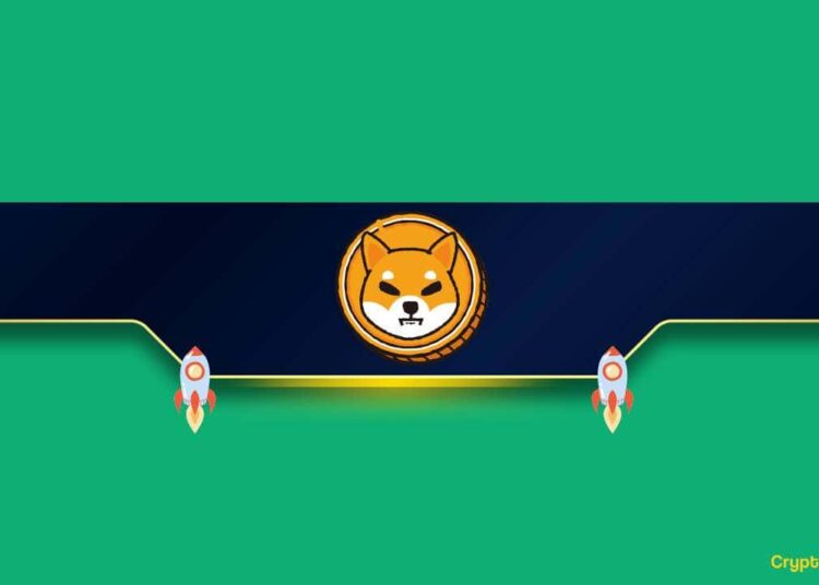 Why is the Shiba Inu (SHIB) Price Up Today?