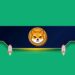 Why is the Shiba Inu (SHIB) Price Up Today?