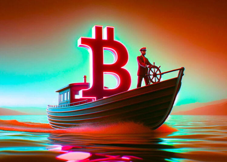 Analyst Says Bitcoin Indicator Flashing Bullish Signal, Updates Outlook on Dogecoin