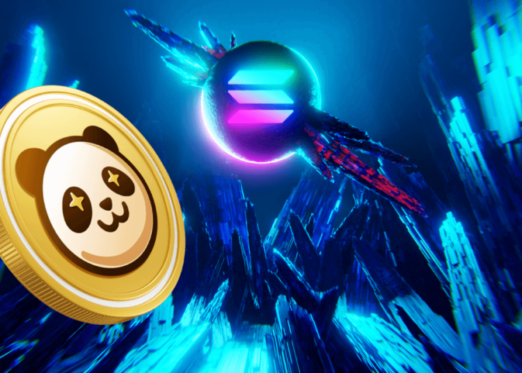 Solana (SOL) Rival Set to Achieve 15x Increase in Q1 2024