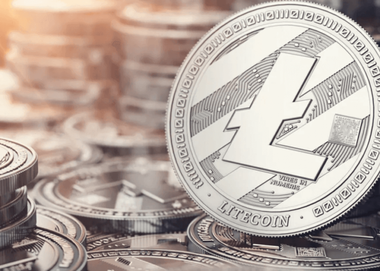 Surge in presale buys from Toncoin (TON) investors into revolutionary Pushd (PUSHD) as Litecoin (LTC) future looks bleak