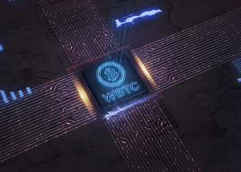 Wrapped Bitcoin (WBTC) holders plough into revolutionary new Pushd (PUSHD) presale alongside Toncoin (TON) investors