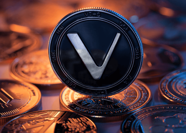 Cryptos Hidden Gems Attracting Major Whales: Nugget Rush (NUGX), Hashflow (HFT) and VeChain (VET)