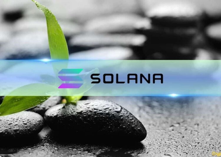 Solana Investors Flock Back With $13M Inflows Beating Ethereum, Avalanche