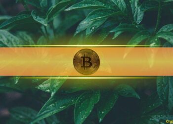 Ark Invest Says Bitcoin Could Be Worth $2.3M If This Happens