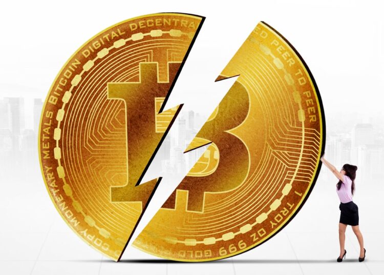 April 2024 Bitcoin Halving Sparks Worldwide Curiosity, Data Reveals