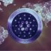 Cardano (ADA) Investors Move To Option2Trade (O2T) As They Edge Closer To $170 Million Valuation