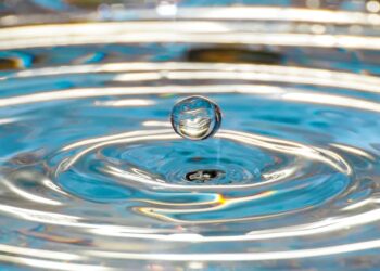 Ripple Aims to Expand Regulatory Reach With Standard Custody Acquisition