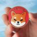 Shiba Inu’s SHEboshi Launch Sparks Frenzy: Shibarium Transactions Surge