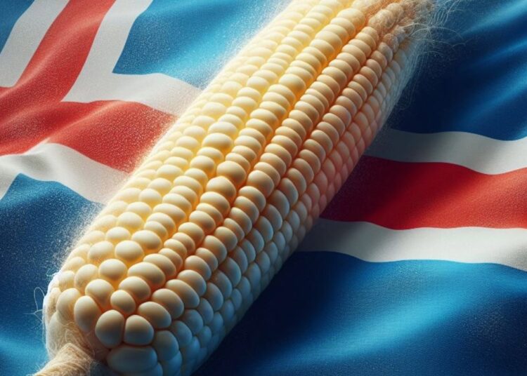 Iceland’s Prime Minister Vows to Prioritize Food Security Over Bitcoin