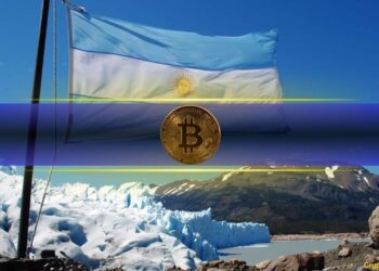 Argentinians Turn to Bitcoin Amid Increasing Inflation Rates: Report