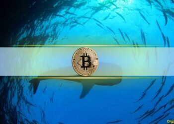 Fifth Richest Bitcoin Address Transfers $6 Billion in BTC Amid Surge Past $70K
