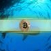 Fifth Richest Bitcoin Address Transfers $6 Billion in BTC Amid Surge Past $70K