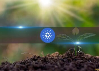 Cardano Defies Critics With Strong GitHub Activity Among Major Layer 1 Blockchains