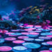This Ethereum Rival’s Ecosystem Will See Massive Memecoin Rallies, Says Crypto Trader