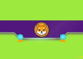 This Is How Shiba Inu (SHIB) Can Become The Largest Meme Coin in 2024
