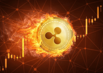 Ripple (XRP) and Dogecoin (DOGE) Bulls Join the Raffle Coin (RAFF) Hype: 100X Predictions Echo in Debut Week