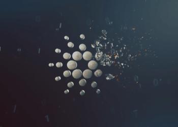 Why Investors from Cardano (ADA) and Bitcoin Cash (BCH) are Rushing to Get Into Stage One of the Raffle Coin (RAFF)