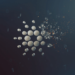 Why Investors from Cardano (ADA) and Bitcoin Cash (BCH) are Rushing to Get Into Stage One of the Raffle Coin (RAFF)